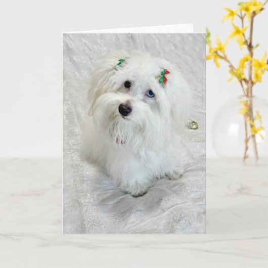 初めてのクリスマス カード (黄色い花)