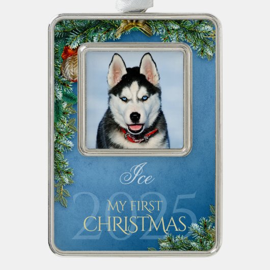 初めてのクリスマス ペット写真 記念品、青空の装飾 - シルバープレートフレームオーナメント (正面)