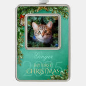 初めてのクリスマス ペット フォト 記念品、ミント デコ - シルバープレートフレームオーナメント (正面)
