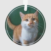 初めてのクリスマス 松の子猫 2枚の写真の記念品 オーナメント (裏面)