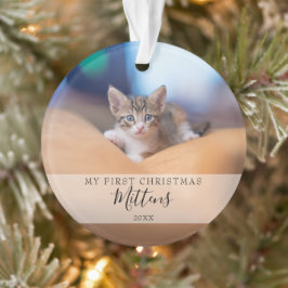 初めてのクリスマス 猫 犬 ペット 写真 モダン スクリプト オーナメント