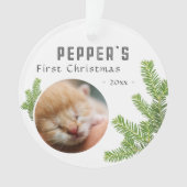 初めてのクリスマスPine Kitten Cat 2 Photo Keepsake オーナメント (正面)