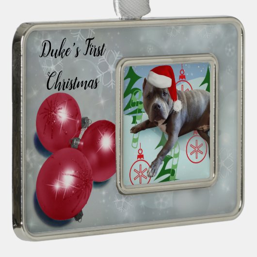 初めてのペットのクリスマス シルバープレートフレームオーナメント (右)