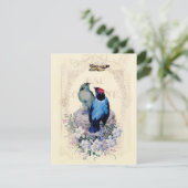 初めての家 案内状 (スタンド正面)