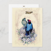 初めての家 案内状 (正面/裏面)