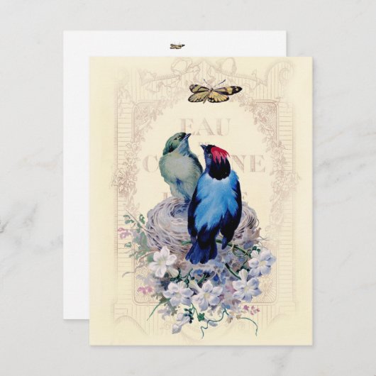 初めての家 案内状 (正面/裏面)