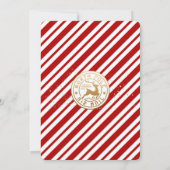 初めての小妖精や小人到着ウェルカムレター (裏面)