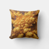 初めに クッション (正面)