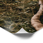 初めの4枚の写真結婚ブラックへようこそ ポスター (コーナー)