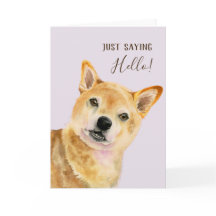 初めまして | かわいい柴犬犬