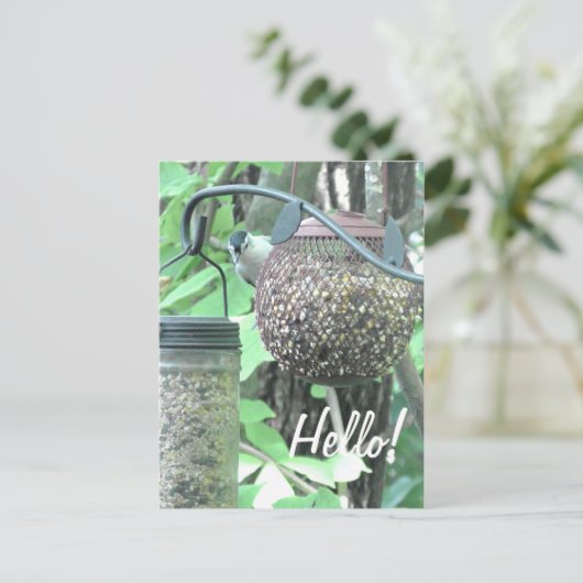 初めまして!ことわざハイキュート鳥オンバードフィーダー ポストカード (スタンド正面)