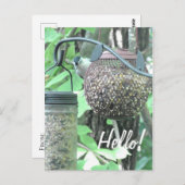 初めまして!ことわざハイキュート鳥オンバードフィーダー ポストカード (正面/裏面)