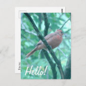 初めまして!ことわざハイ(鳥)ショウジョウコウカンチョウオンブランチ ポストカード (正面/裏面)