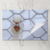 初めまして!すり付き鶏のワイヤーフェンスの後ろで鴨 ペーパーパッド (折り畳み)