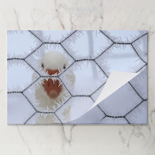 初めまして!すり付き鶏のワイヤーフェンスの後ろで鴨 ペーパーパッド (折り畳み)