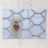 初めまして!すり付き鶏のワイヤーフェンスの後ろで鴨 ペーパーパッド (正面)