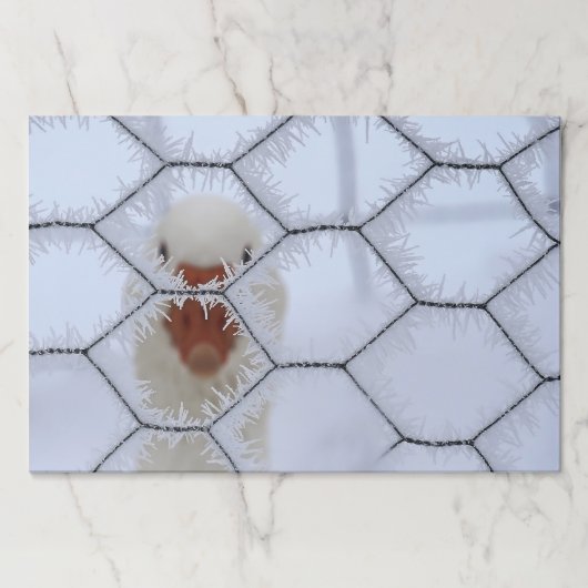 初めまして!すり付き鶏のワイヤーフェンスの後ろで鴨 ペーパーパッド (正面)