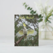 初めまして!オウム鳥の羽を開けてパーソナライズ ポストカード (スタンド正面)