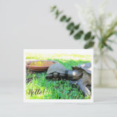 初めまして! ポストカード (スタンド正面)