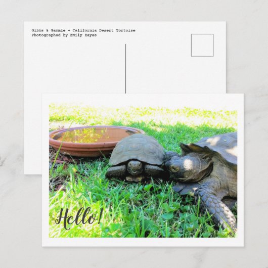 初めまして! ポストカード (正面/裏面)