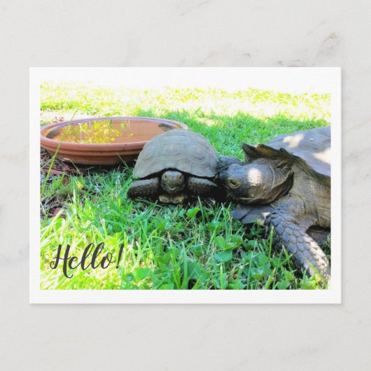 初めまして! ポストカード (正面)