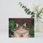 初めまして!ポストカード ポストカード (スタンド正面)