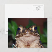 初めまして!ポストカード ポストカード (正面/裏面)