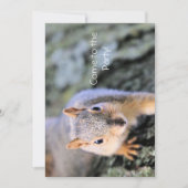 初めまして!私はダーリン！ 招待状 (正面)