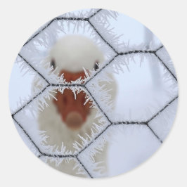 初めまして!霜の降りたフェンスの後ろで鴨をする ラウンドシール