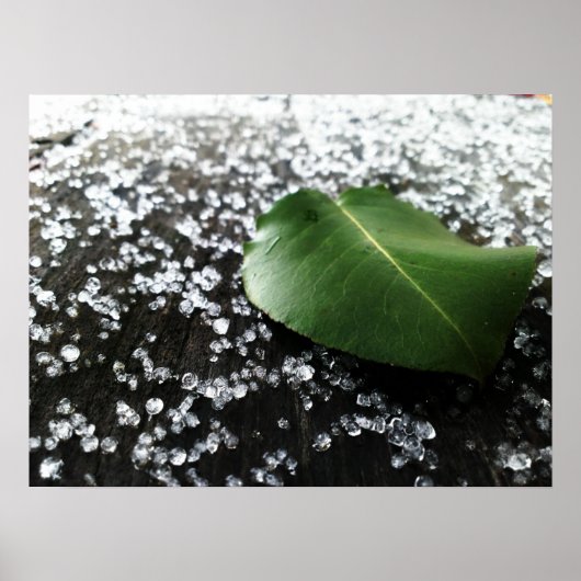 初冬の天気 ポスター (正面)