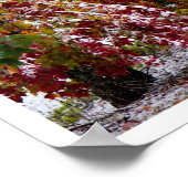 初冬 ポスター (角)