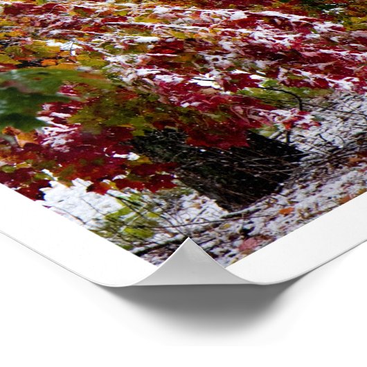 初冬 ポスター (角)