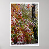 初冬 ポスター (正面)