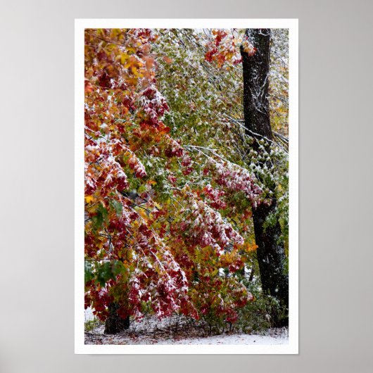 初冬 ポスター (正面)