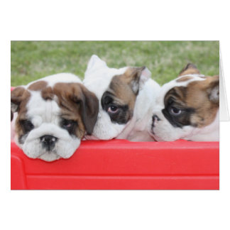 初恋のカスタマイズ可能なカード