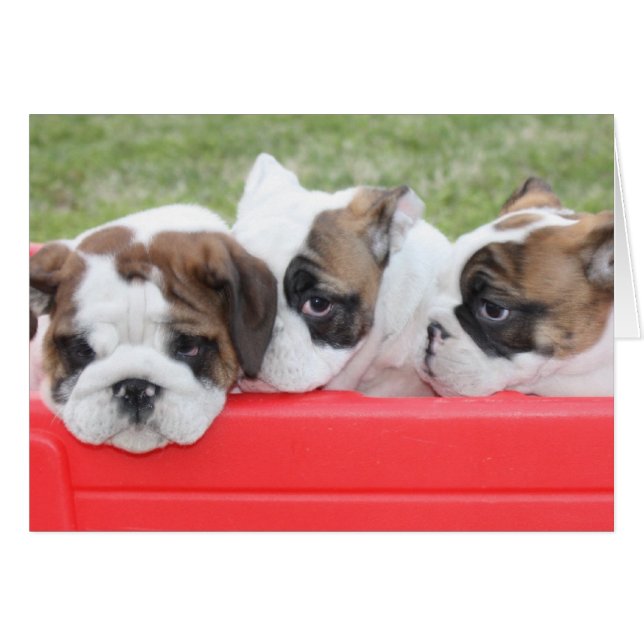 初恋のカスタマイズ可能なカード (正面横)