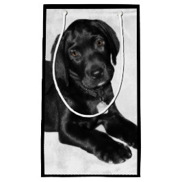 初恋の黒ラブラドル スモールペーパーバッグ