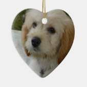 初恋-かわいいMaltiPoo犬の写真 セラミックオーナメント (右)