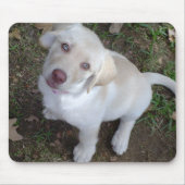 初恋 マウスパッド (正面)