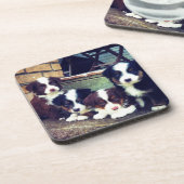 初恋-愛らしいオーストラリアの羊飼い コースター (左側)