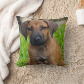 初恋IV クッション (ブランケット)