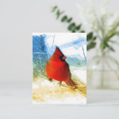 初期のな西欧諸国のクリスマスの赤の（鳥）ショウジョウコウカンチョウ シーズンポストカード (スタンド正面)