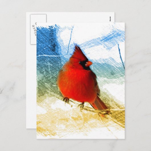 初期のな西欧諸国のクリスマスの赤の（鳥）ショウジョウコウカンチョウ シーズンポストカード (正面/裏面)
