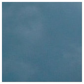 初期のショーに戻る ファブリック (クローズアップ)