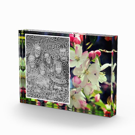 初期の春の花が自分の花を作成 フォトブロック (右)