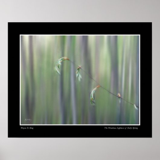 初期の春の驚くべき軽さ – ポスター (正面)