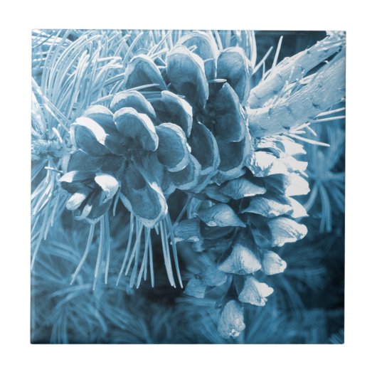 初期の松の木氷青松 タイル (正面)