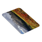 初期の秋のアサガイ Athabasca Peak in the マグネット (右側)