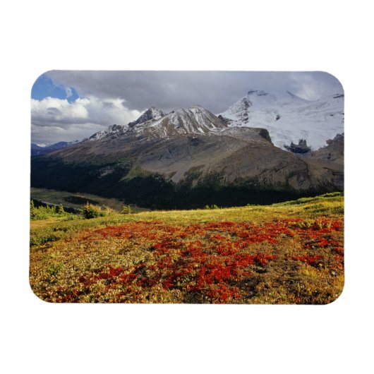 初期の秋のアサガイ Athabasca Peak in the マグネット (横)