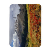 初期の秋のアサガイ Athabasca Peak in the マグネット (縦)